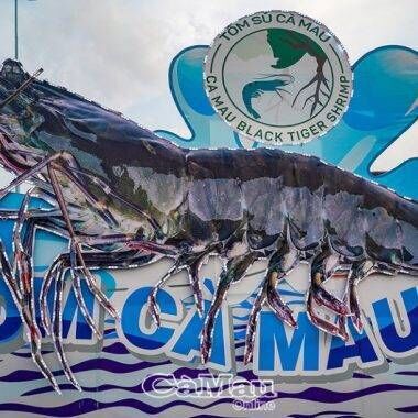 Lý do tôm khô Cà Mau nổi tiếng khắp nước